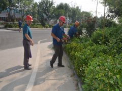 鞏固衛(wèi)生城  我們在行動(dòng)