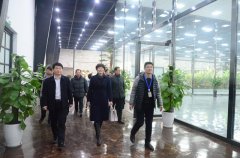 市總“送萬福、進(jìn)萬家”書法公益活動走進(jìn)華紡