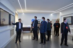 區(qū)政協(xié)領(lǐng)導一行蒞臨公司調(diào)研指導